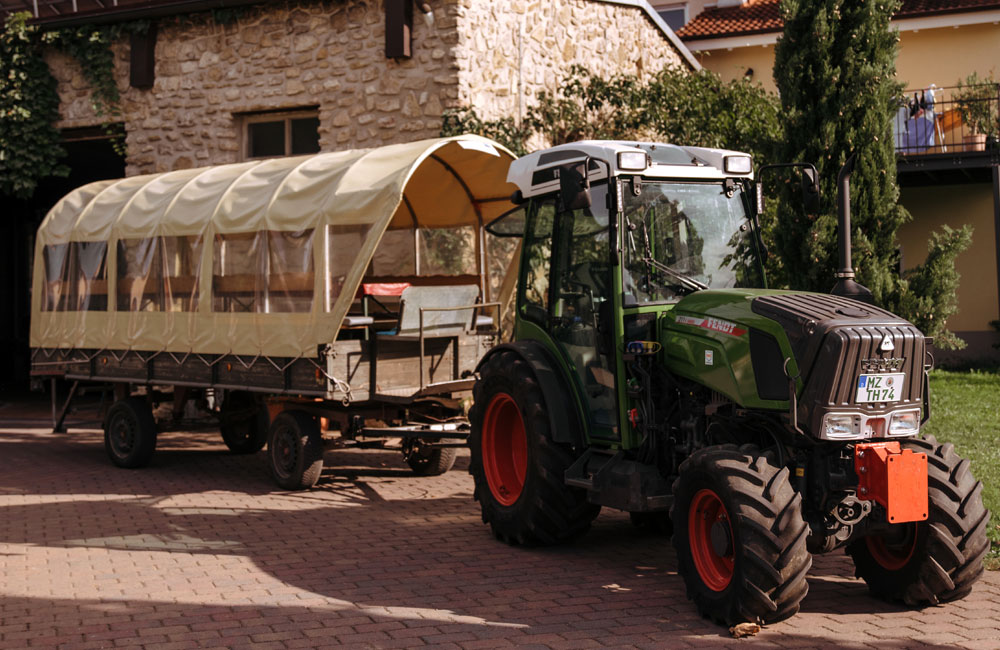 Planwagenfahrt Weingut Gerharz Hochthurn